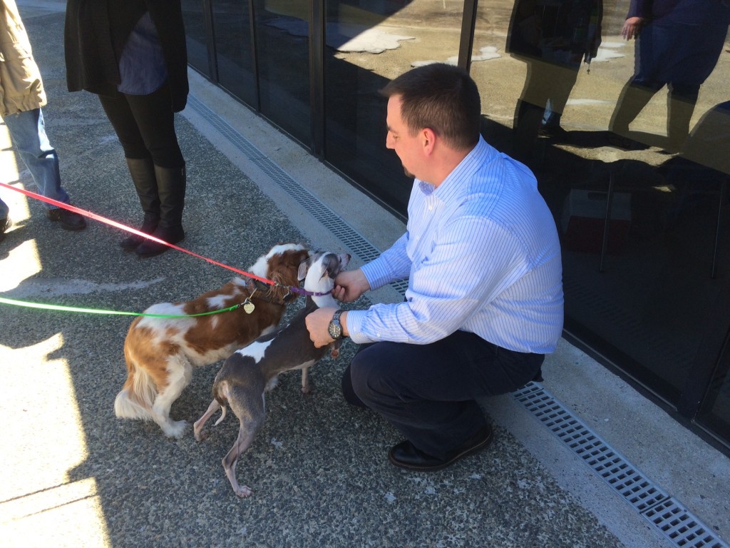 Solidscape employees learn why these adorable dogs make great lap dog companions