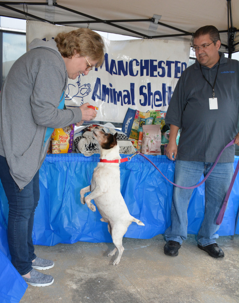Manchester Animal Shelter Day at Solidscape 