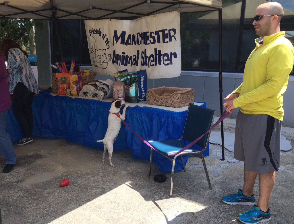 The dogs love the display table of donations